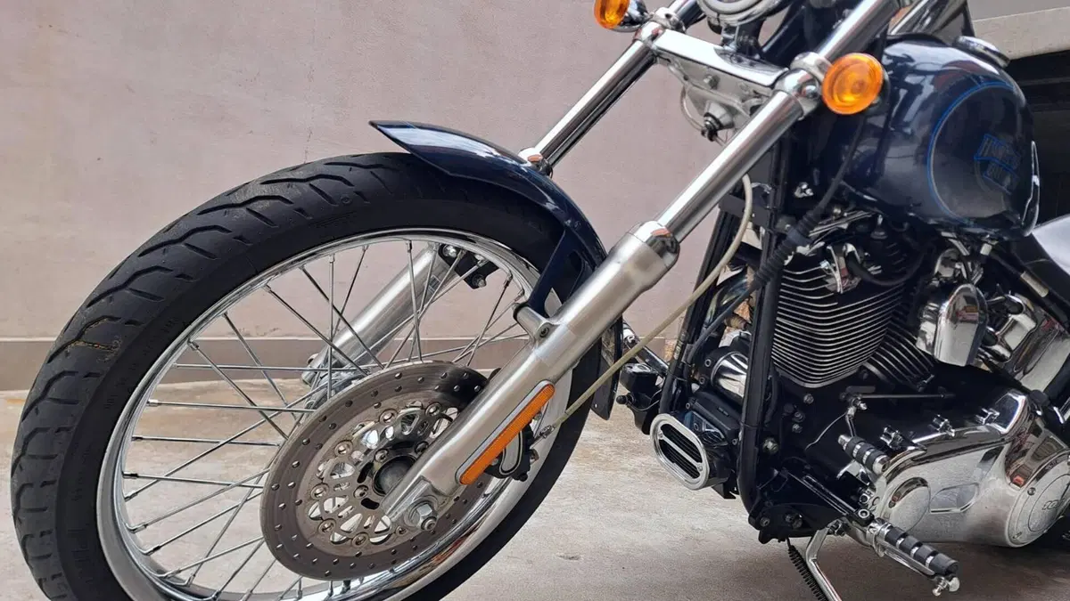 Harley-Davidson 1584 Custom (2008 - 09) - FXSTC  (4)