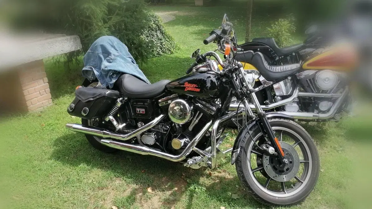Harley-Davidson 1340 Low Rider (1994 - 99)  (11)