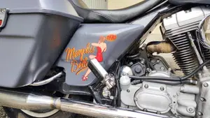 Harley-Davidson 1450 Electra Glide Classic (2002) - FLHTC  (7)