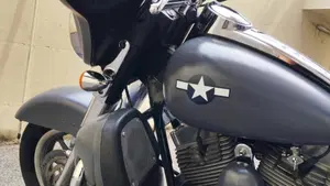 Harley-Davidson 1450 Electra Glide Classic (2002) - FLHTC  (12)