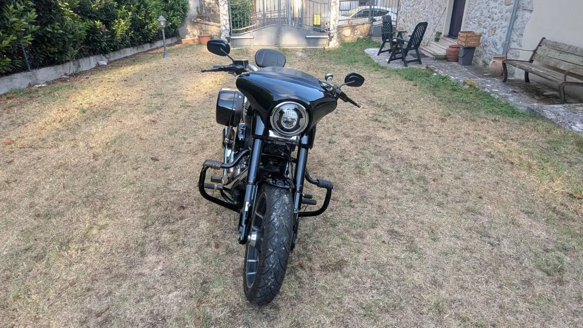 Harley-Davidson Sport Glide (2021 - 25)  (4)