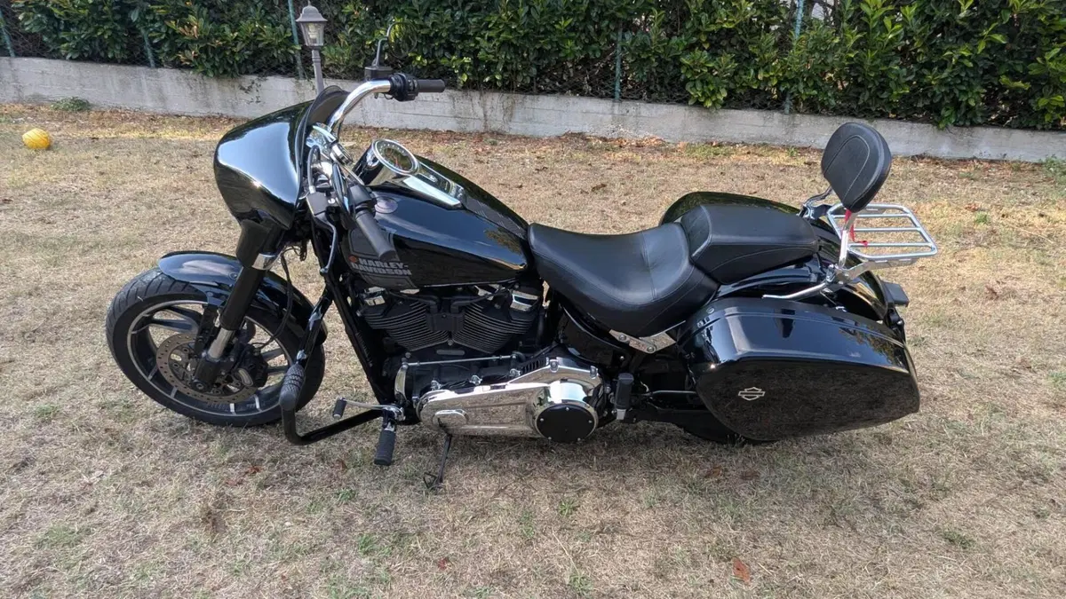 Harley-Davidson Sport Glide (2021 - 25)  (5)