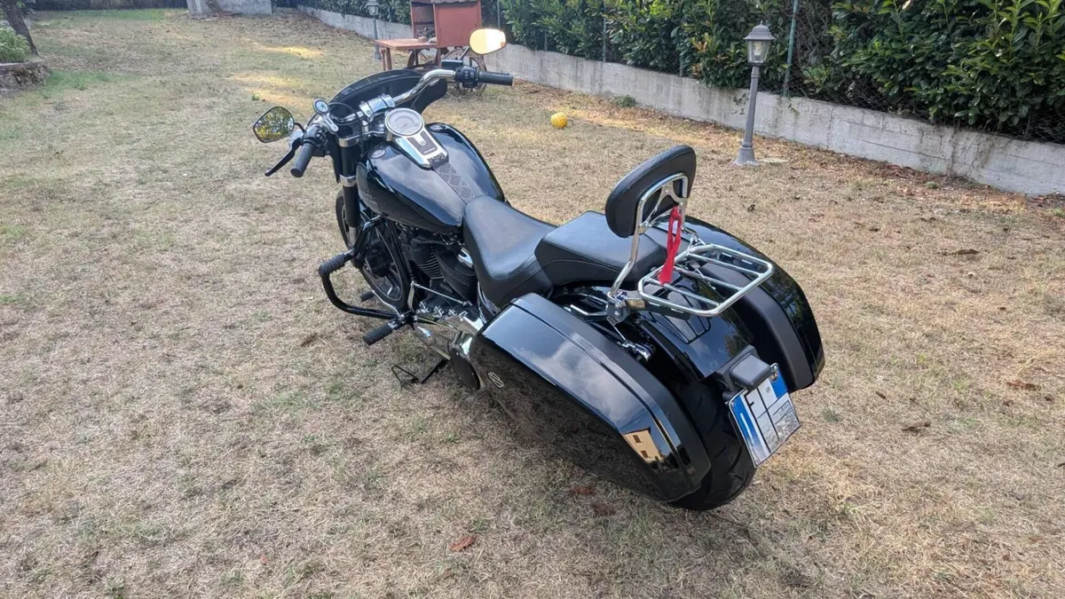 Harley-Davidson Sport Glide (2021 - 25)  (7)