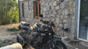 Yamaha FZ1 (2006 - 16)  (4)
