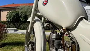 Motom   (2)