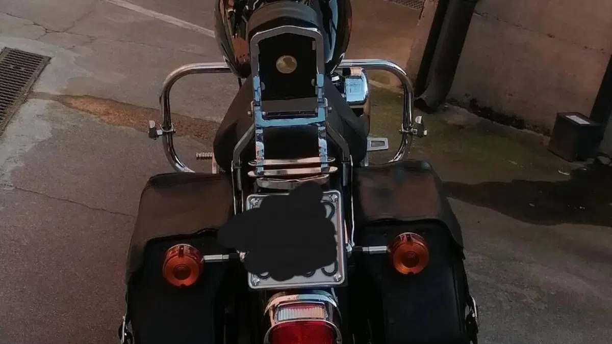 Harley-Davidson 1340 Low Rider (1994 - 99)  (5)