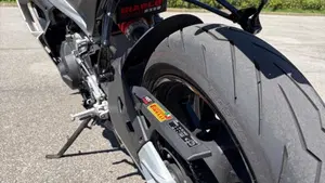 Aprilia RS 660 (2020 - 24)  (11)