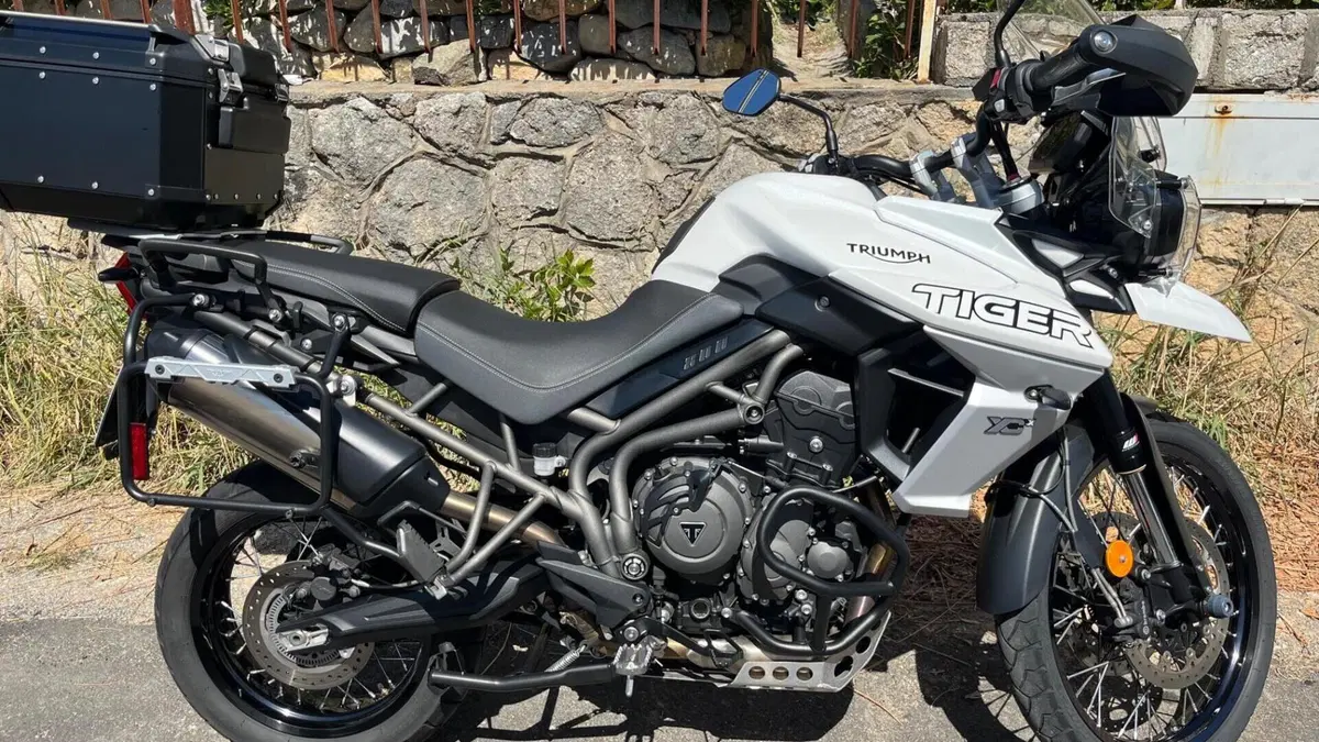 Triumph Tiger 800 XCx (2018 - 20)  (10)