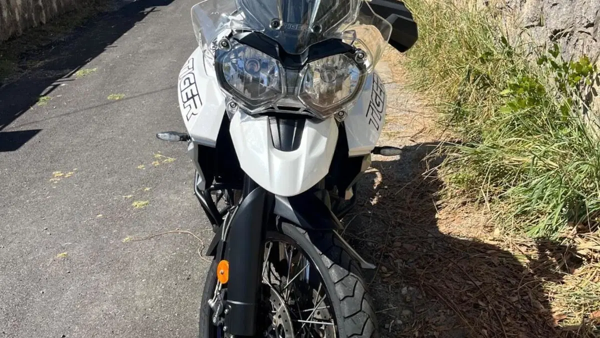 Triumph Tiger 800 XCx (2018 - 20)  (14)