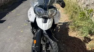 Triumph Tiger 800 XCx (2018 - 20)  (14)