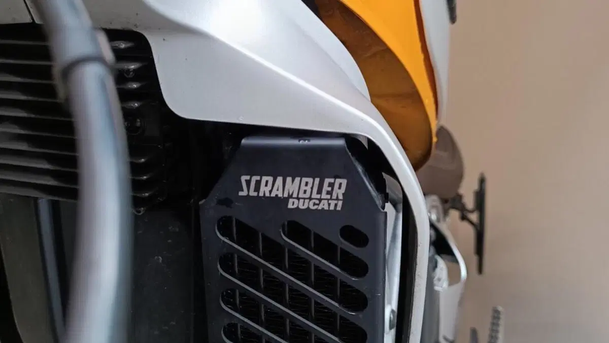Ducati Scrambler 800 Classic (2015 - 16)  (5)
