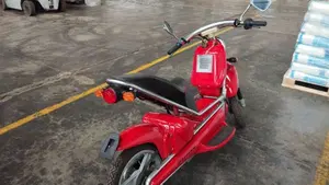  Altre moto o tipologie Elettrico  (3)