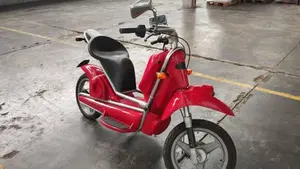  Altre moto o tipologie Elettrico  (4)