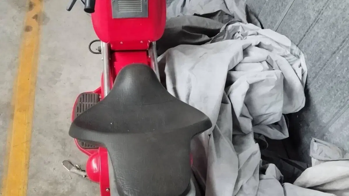  Altre moto o tipologie Elettrico  (5)
