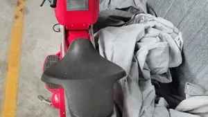  Altre moto o tipologie Elettrico  (5)