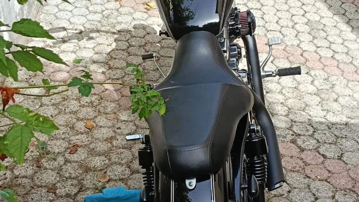 Harley-Davidson 1200 Custom (2004 - 06) - XL 1200C  (3)