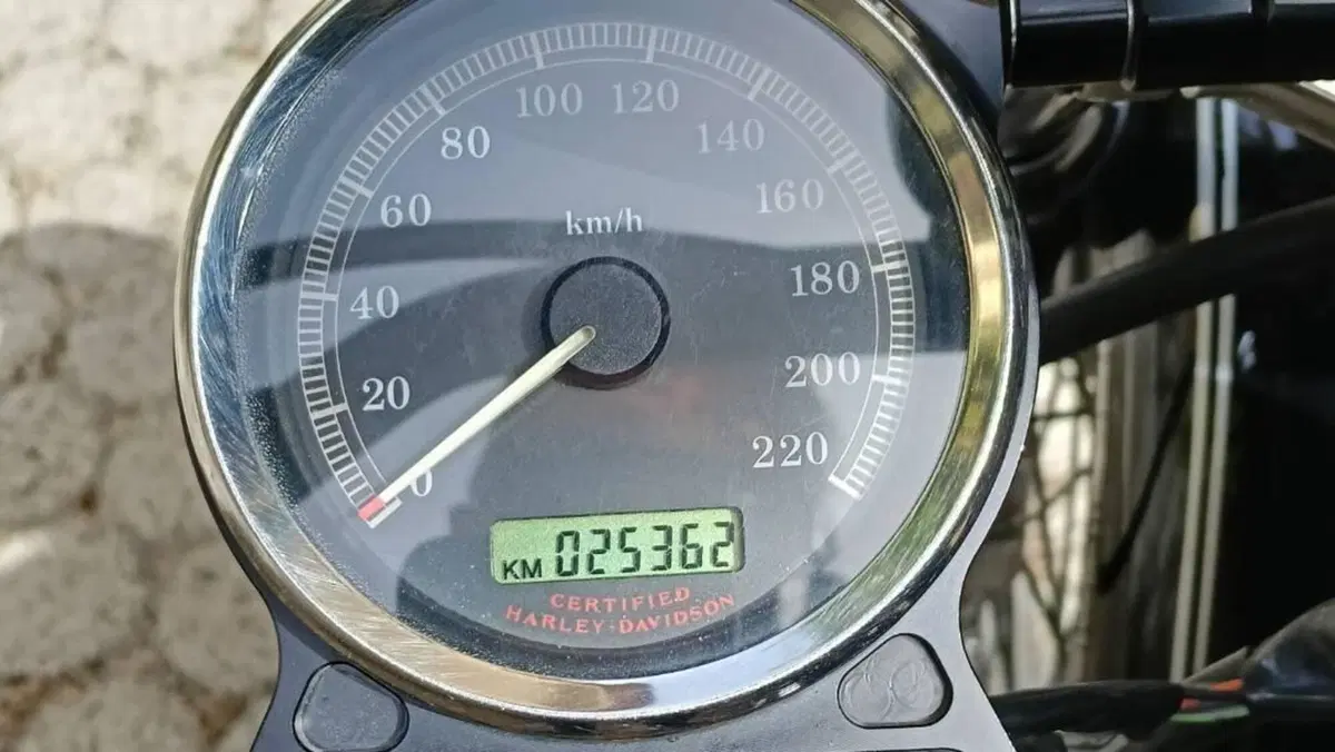 Harley-Davidson 1200 Custom (2004 - 06) - XL 1200C  (4)