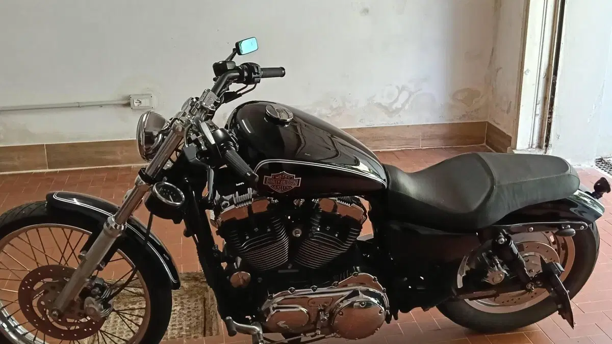 Harley-Davidson 1200 Custom (2004 - 06) - XL 1200C  (6)