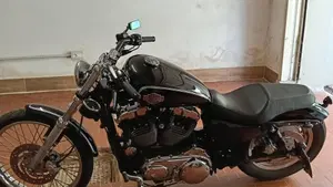 Harley-Davidson 1200 Custom (2004 - 06) - XL 1200C  (6)