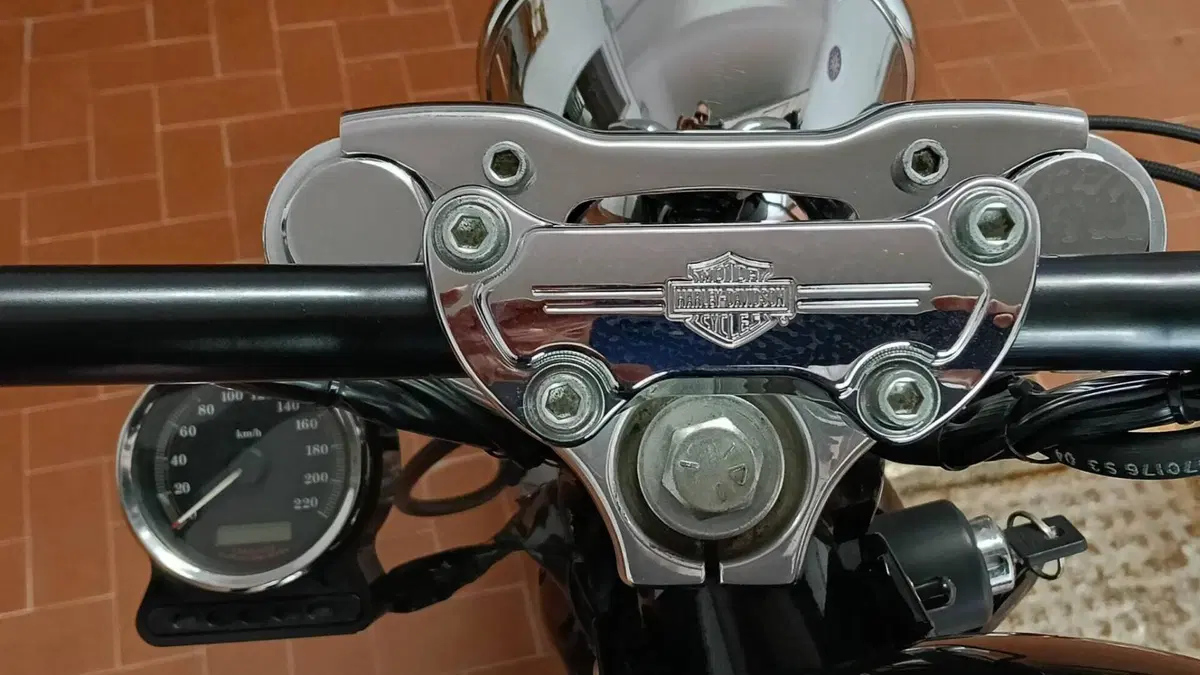 Harley-Davidson 1200 Custom (2004 - 06) - XL 1200C  (7)