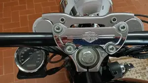 Harley-Davidson 1200 Custom (2004 - 06) - XL 1200C  (7)