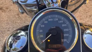 Harley-Davidson 1690 Deluxe (2016 - 17) - FLSTN 