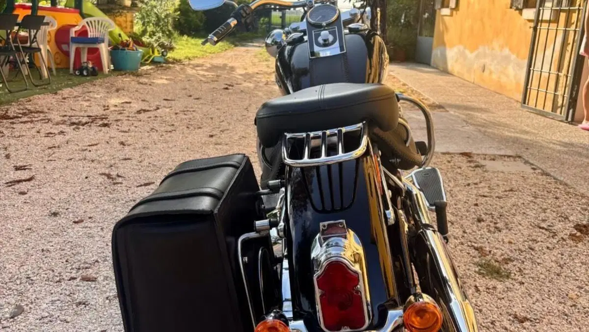 Harley-Davidson 1690 Deluxe (2016 - 17) - FLSTN  (2)