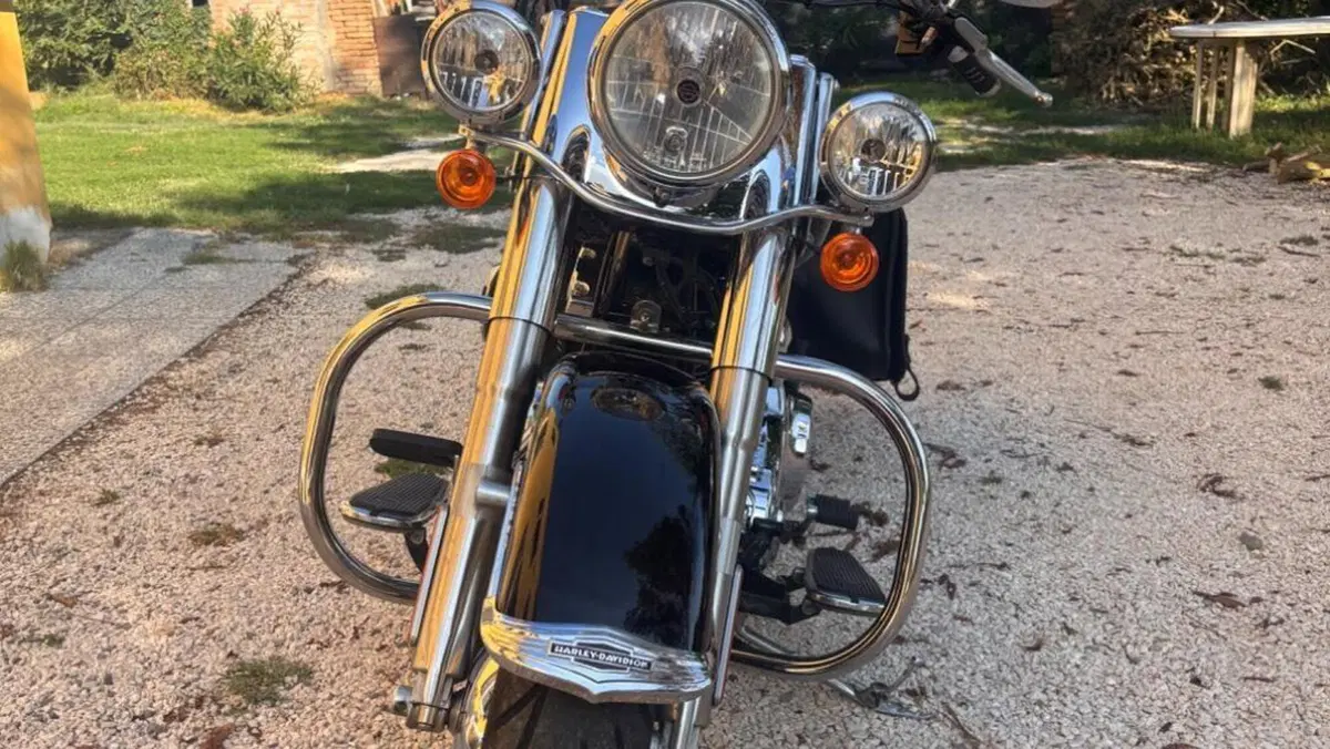 Harley-Davidson 1690 Deluxe (2016 - 17) - FLSTN  (4)