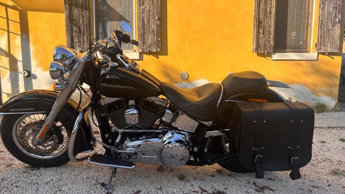 Harley-Davidson 1690 Deluxe (2016 - 17) - FLSTN  (5)