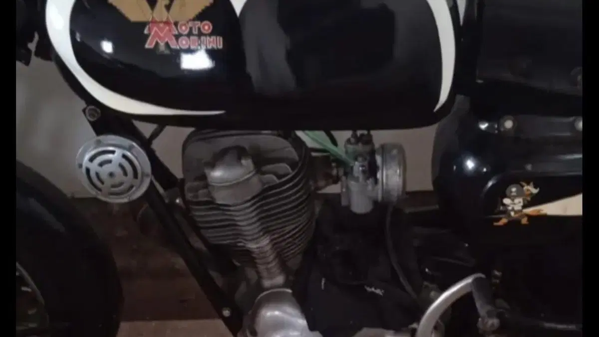 Morini   (6)