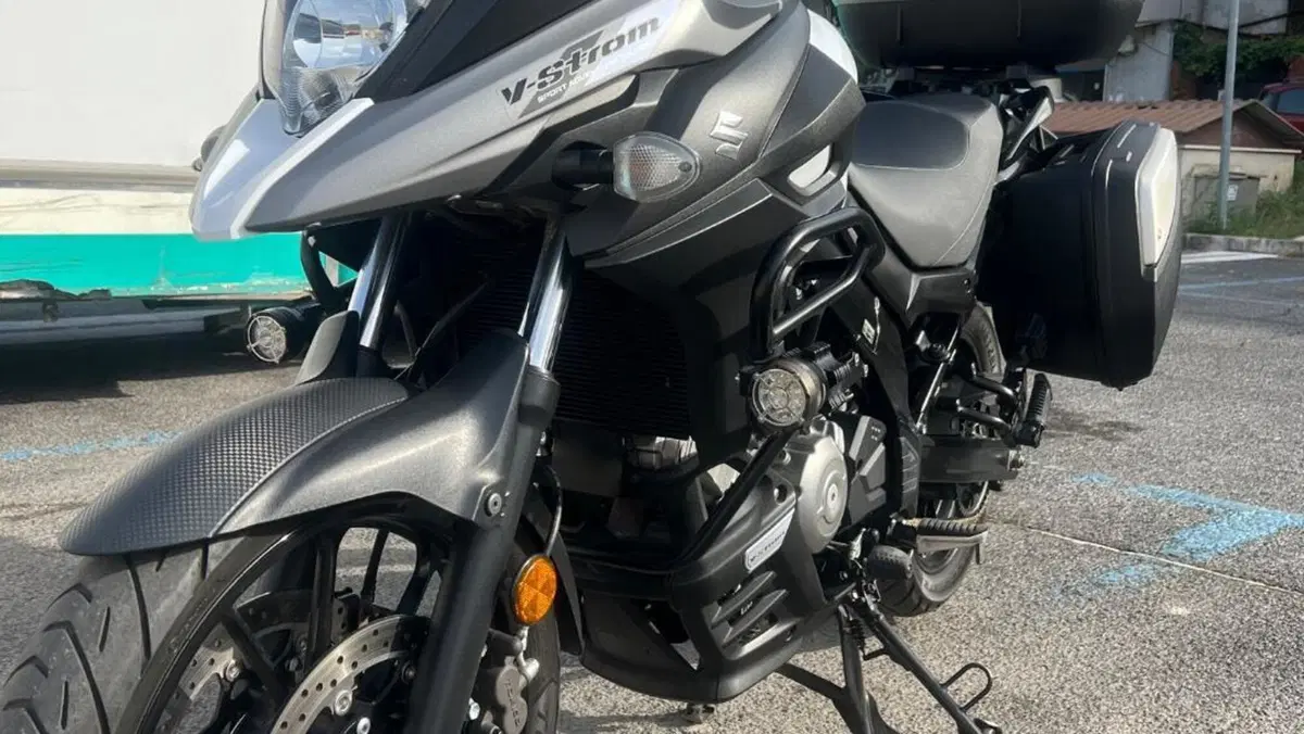 Suzuki V-Strom 650 ABS (2017 - 20)  (5)