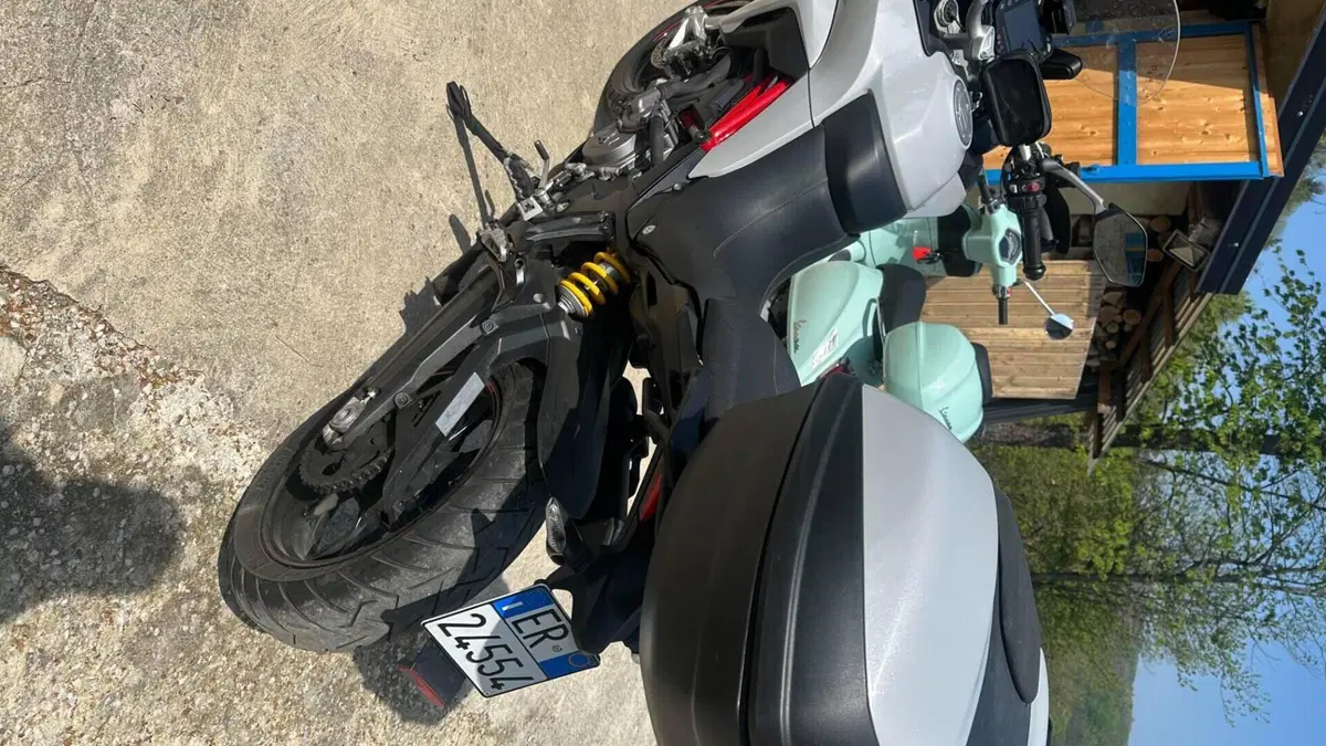 Ducati Multistrada 950 S (2019 - 20)  (2)