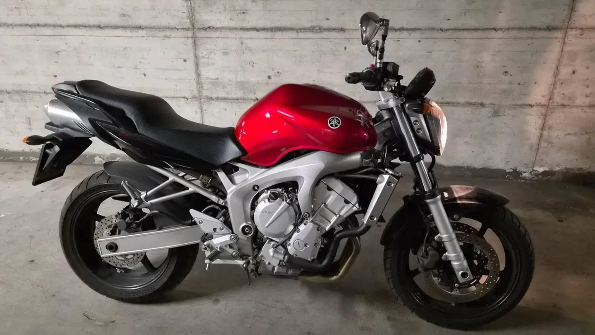 Yamaha FZ6 (2004 - 07)  (11)