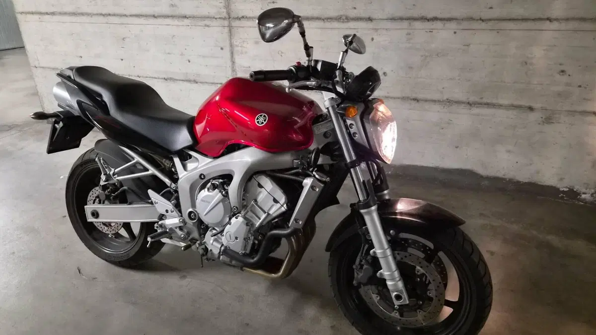 Yamaha FZ6 (2004 - 07)  (13)