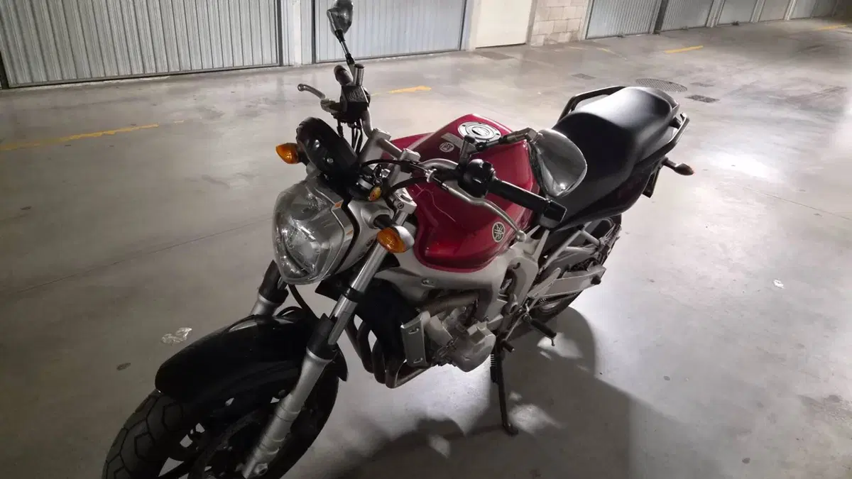 Yamaha FZ6 (2004 - 07)  (16)