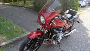 Suzuki   (3)