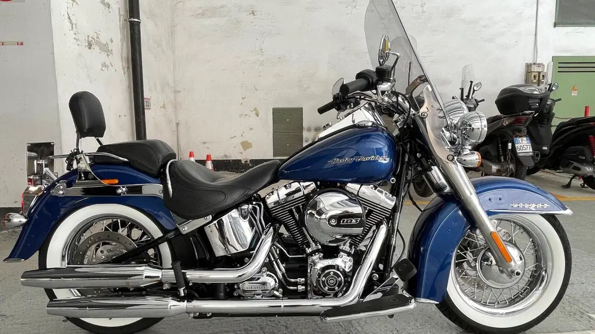 Harley-Davidson 1690 Deluxe (2016 - 17) - FLSTN  (2)