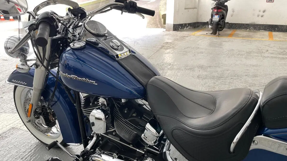 Harley-Davidson 1690 Deluxe (2016 - 17) - FLSTN  (10)