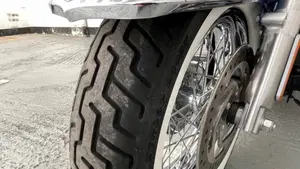 Harley-Davidson 1690 Deluxe (2016 - 17) - FLSTN  (11)