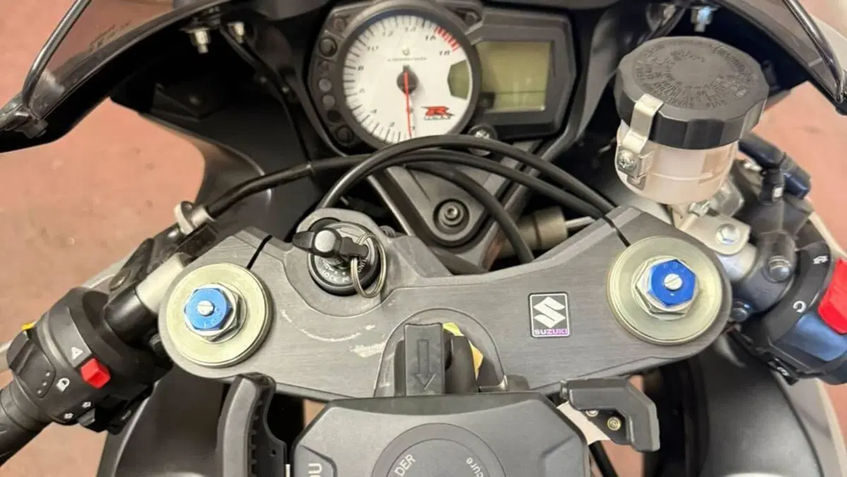Suzuki GSX R 600 (2006 - 07)  (2)