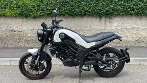 Benelli Leoncino 125 (2022 - 25)  (2)
