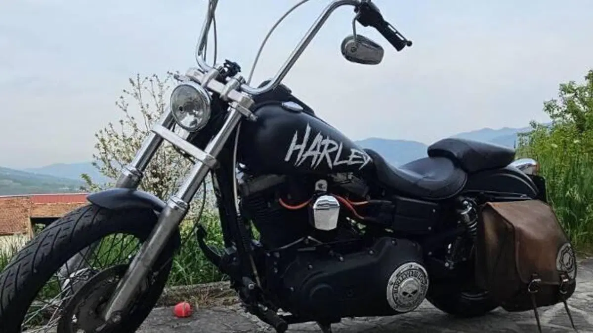 Harley-Davidson 1584 Street Bob (2008 - 15) - FXDB  (2)