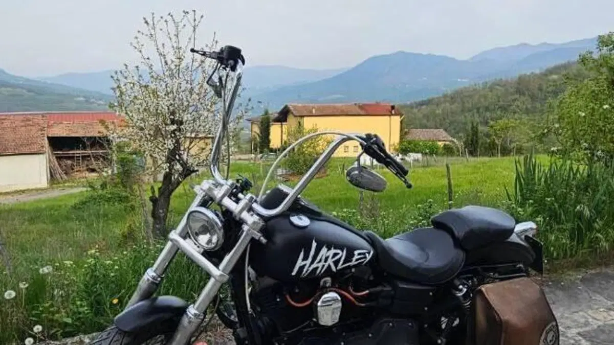 Harley-Davidson 1584 Street Bob (2008 - 15) - FXDB  (3)