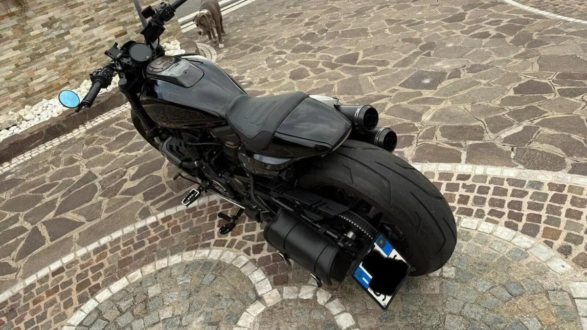 Harley-Davidson 1200 Forty-Eight Special (2018 - 20)  (3)