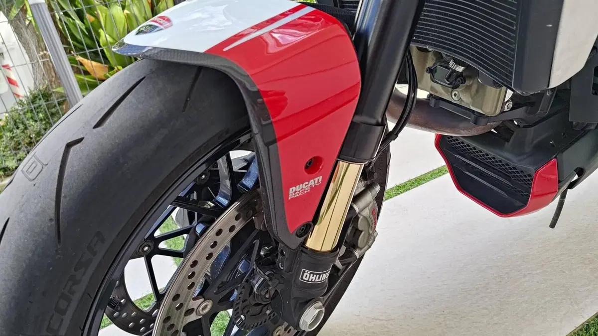Ducati Monster 1200 R (2016 - 19)  (4)