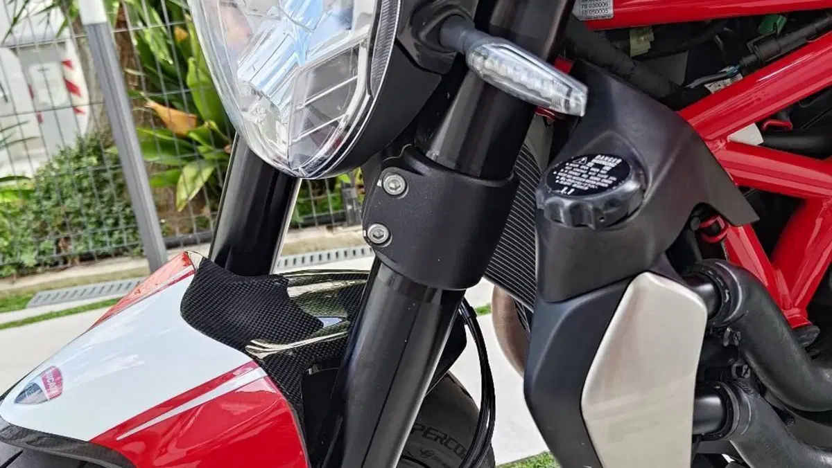Ducati Monster 1200 R (2016 - 19)  (6)
