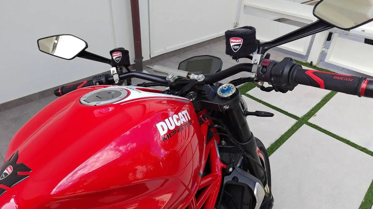 Ducati Monster 1200 R (2016 - 19)  (12)