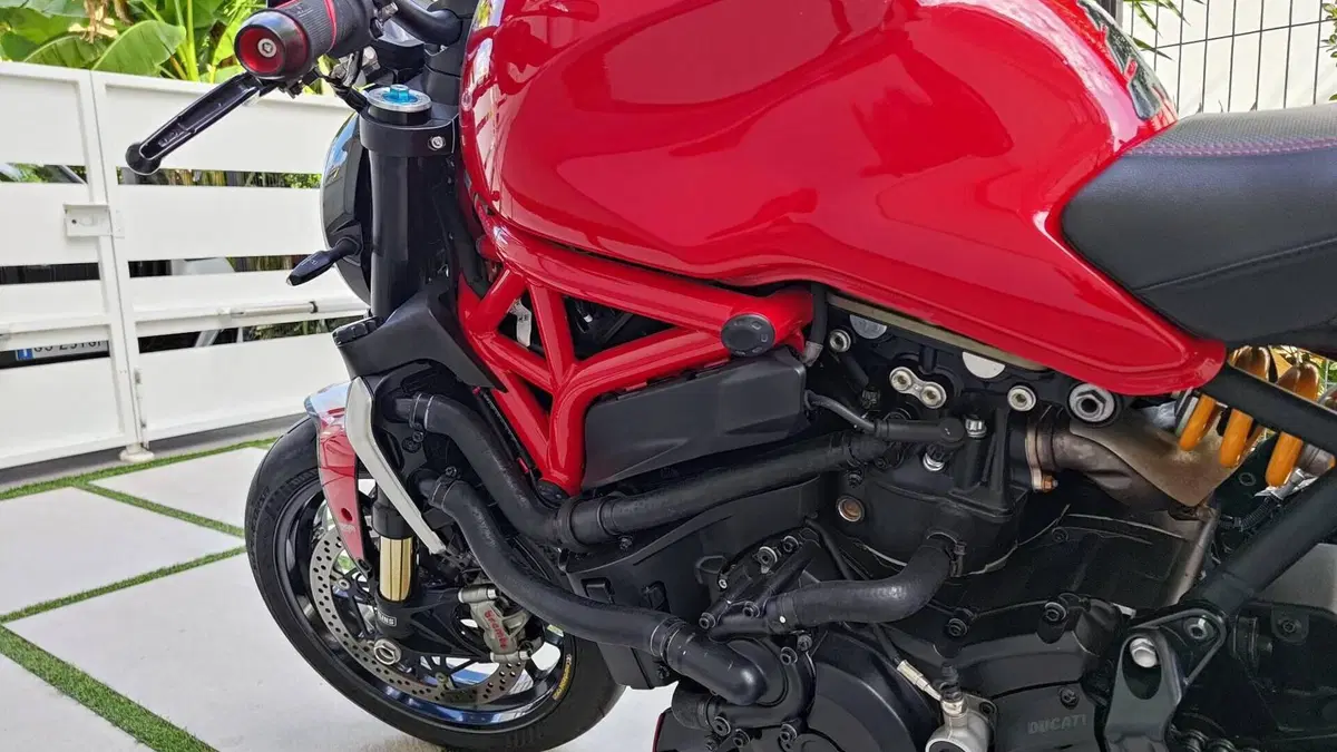 Ducati Monster 1200 R (2016 - 19)  (14)