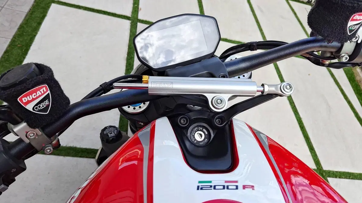 Ducati Monster 1200 R (2016 - 19)  (16)