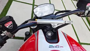 Ducati Monster 1200 R (2016 - 19)  (16)